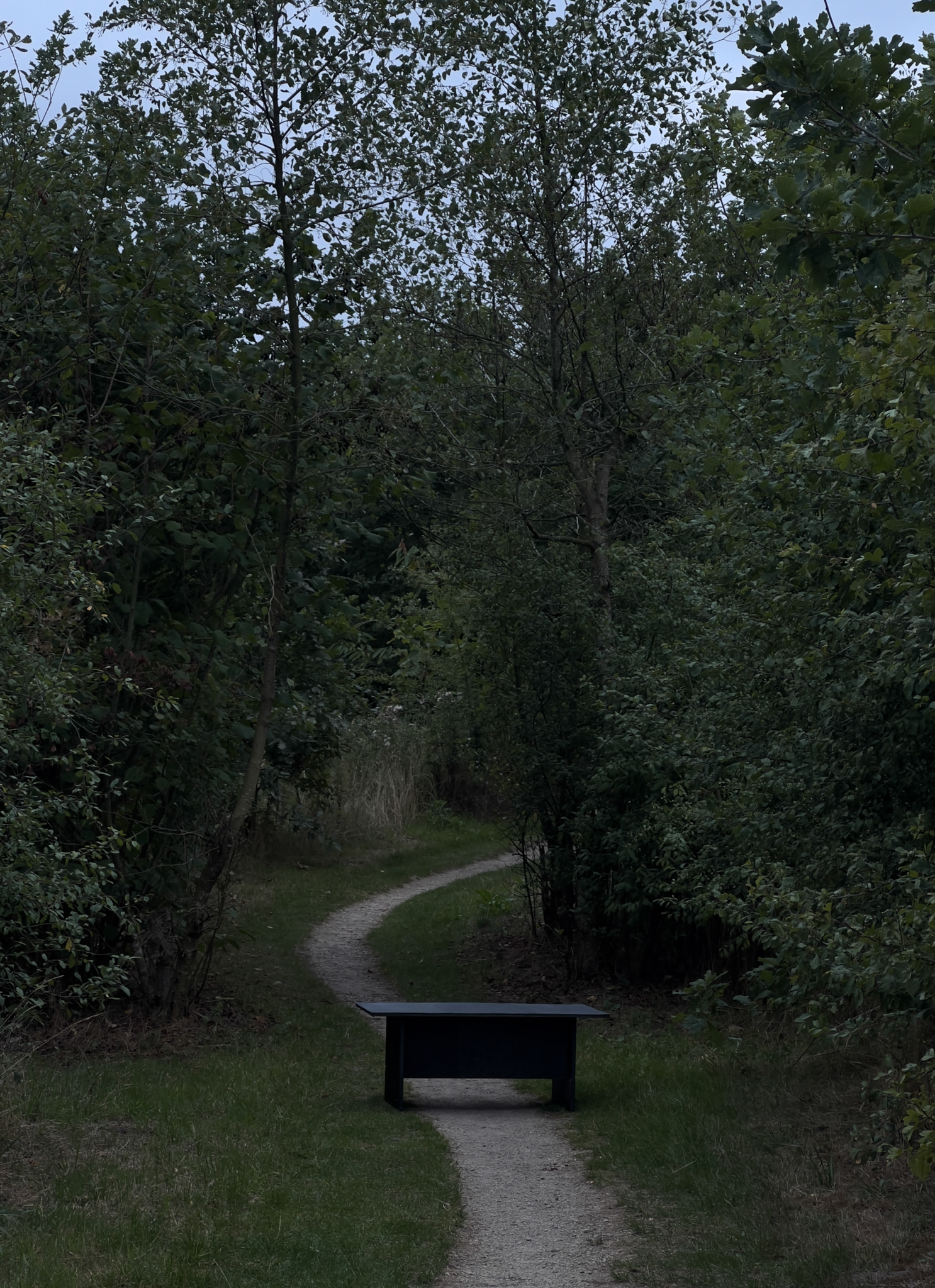 먹을 품은 종이 탁상 / INK-DYED PAPER TABLE 1